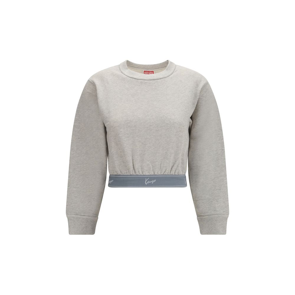 Graues Sweatshirt aus Baumwolle FG62SW0514MQ93