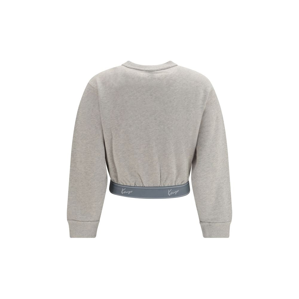 Graues Sweatshirt aus Baumwolle FG62SW0514MQ93