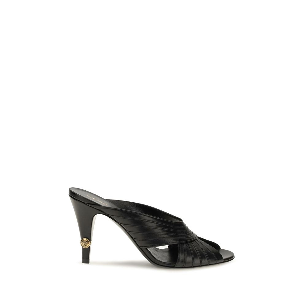 Schwarze Lamm Ovis Aries Aries Mules