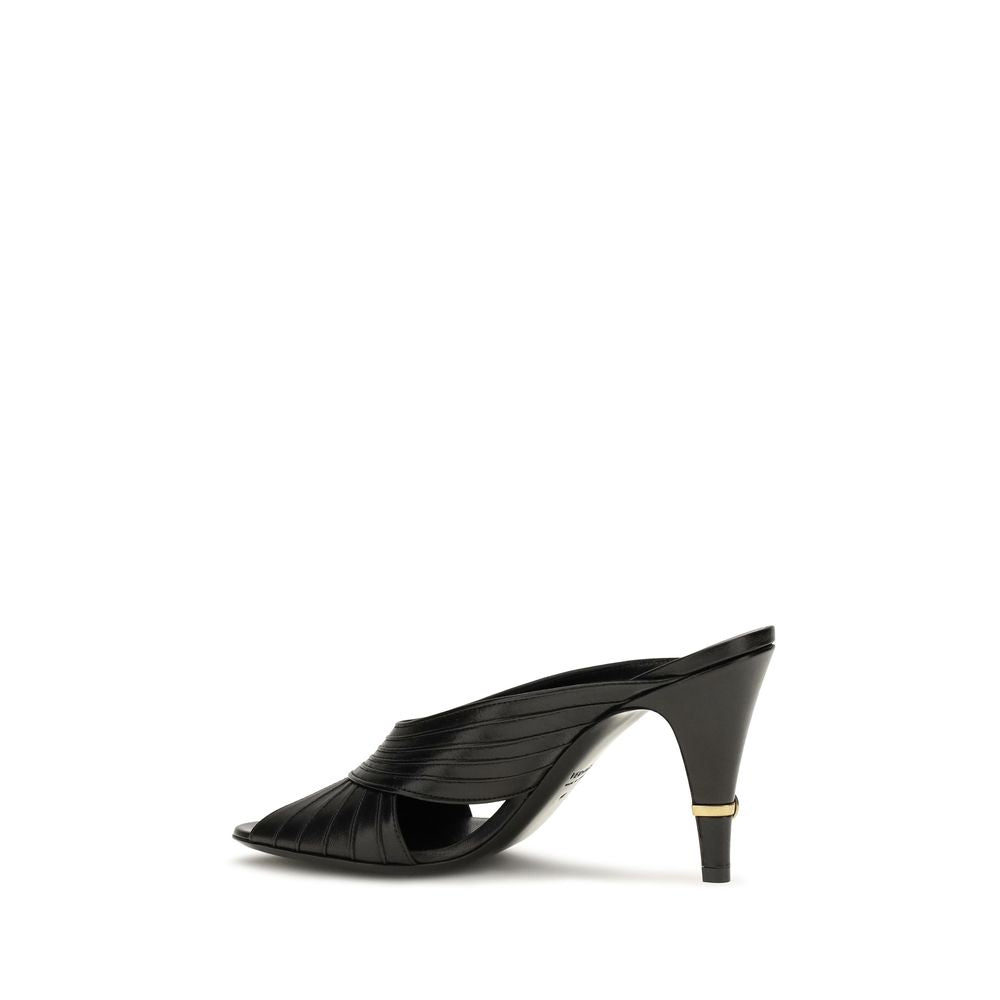 Schwarze Lamm Ovis Aries Aries Mules