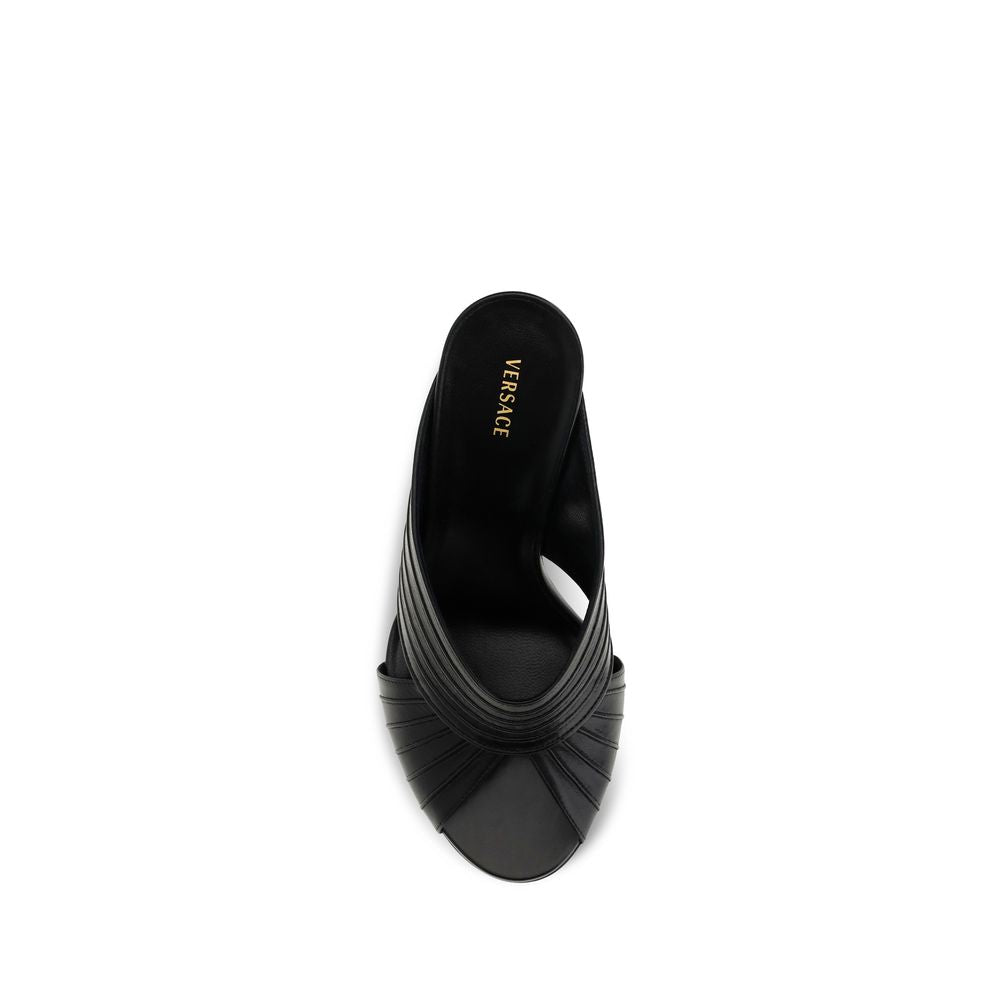 Schwarze Lamm Ovis Aries Aries Mules
