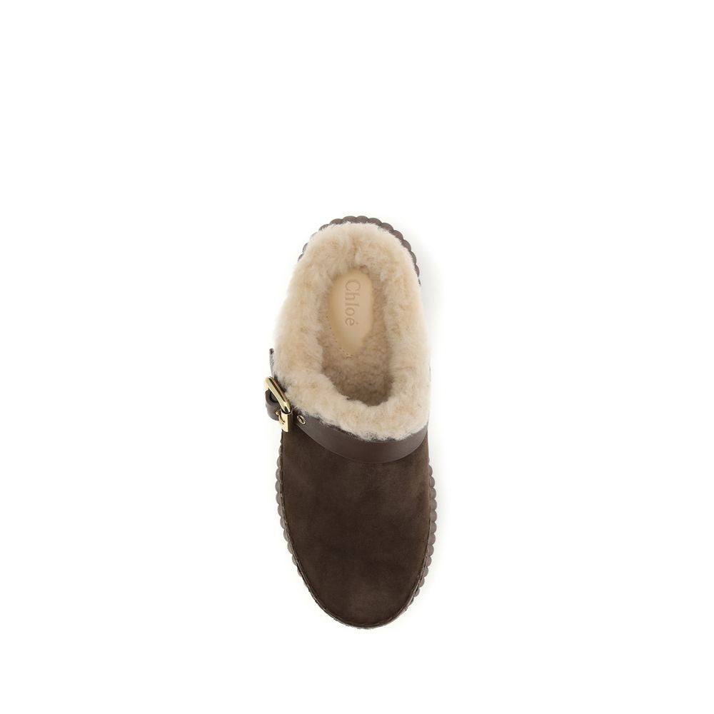 Braune Kalbsleder Bos Taurus Mules